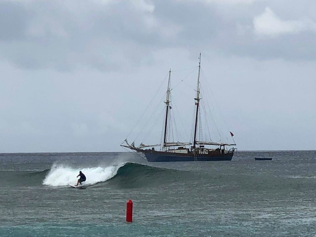 Surfing in Grand Cayman